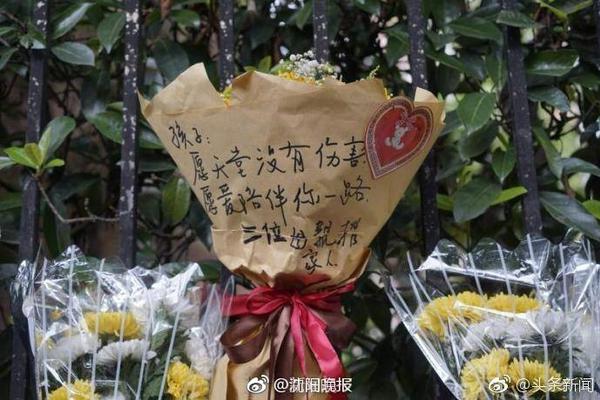 这娘们不像好人是什么梗