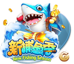 斑鸠哥是什么梗